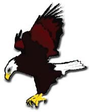 0701eagle4.jpg